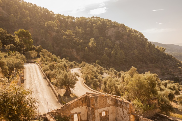 Coll-de-Soller_Serpentinengfieberjpg