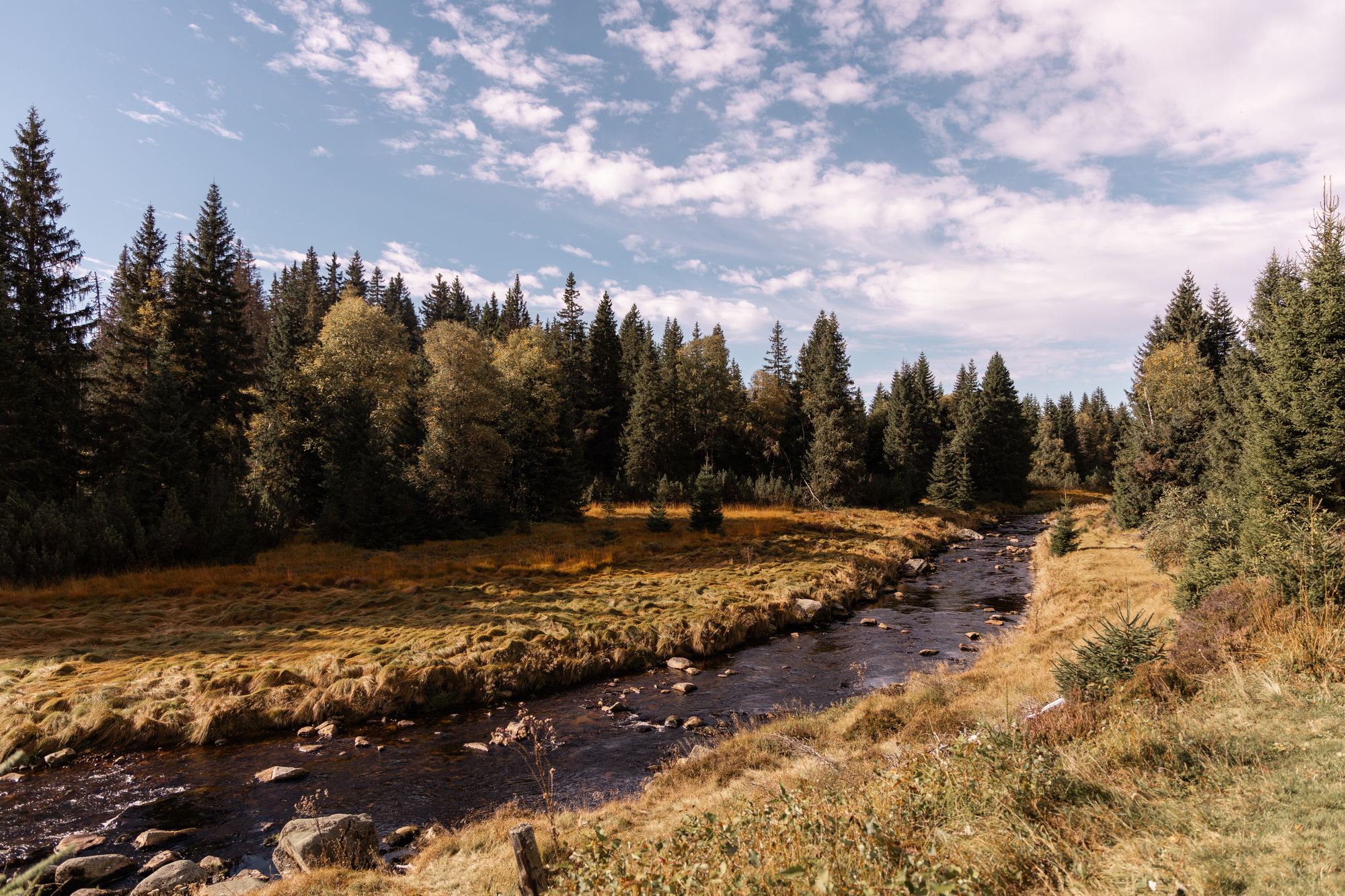 Bohemian Gravel-Trip: Du wolltest Abenteuer…